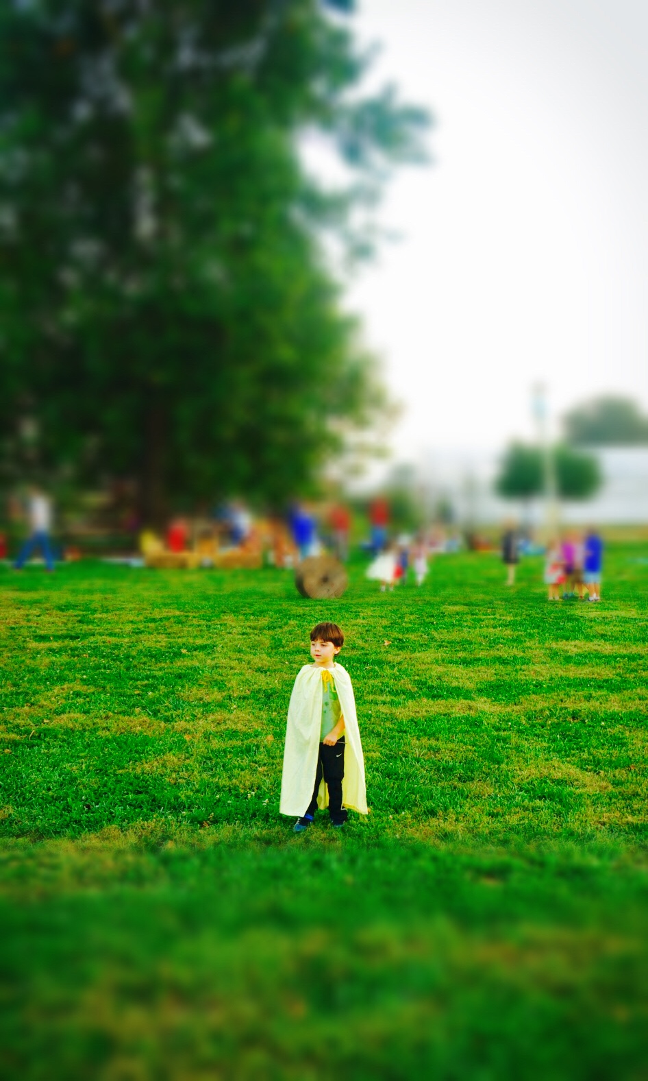 Inner Wisdom - Empowering Your Body to Heal